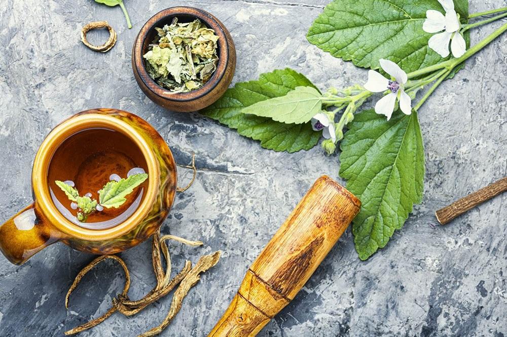 نحوه تهیه کپسول گیاهی دتوکسین