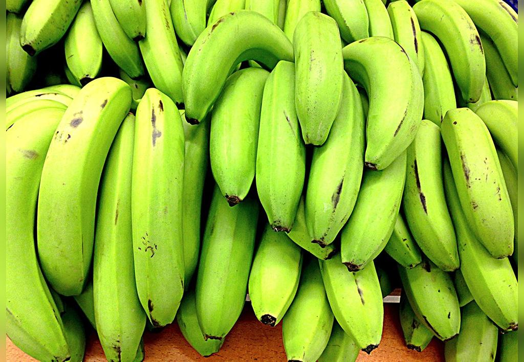 Можно есть зеленые бананы. Бананы полузеленые. Зеленые бананы. Зеленые бананы доспели. Неспелый банан.