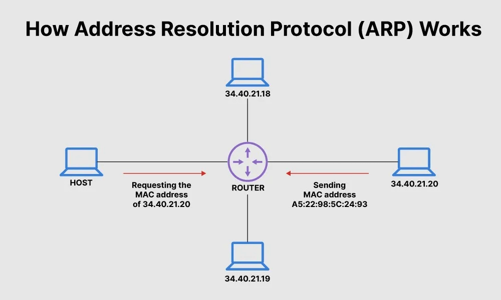 چگونه ARP روی کامپیوتر شما کار می کند؟