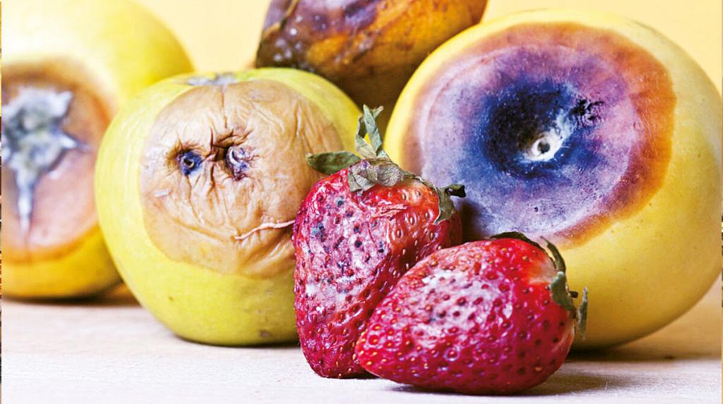 علت ایجاد پشه میوه یا مگس میوه در خانه چیست؟