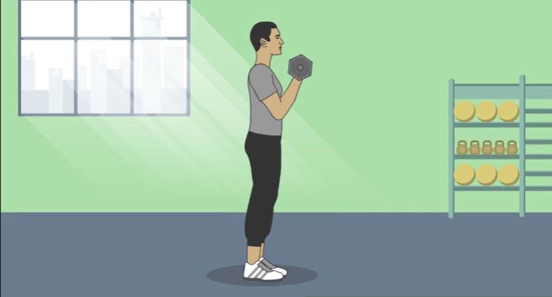 ورزش هایی که میتوانیم در خانه انجام دهیم 4