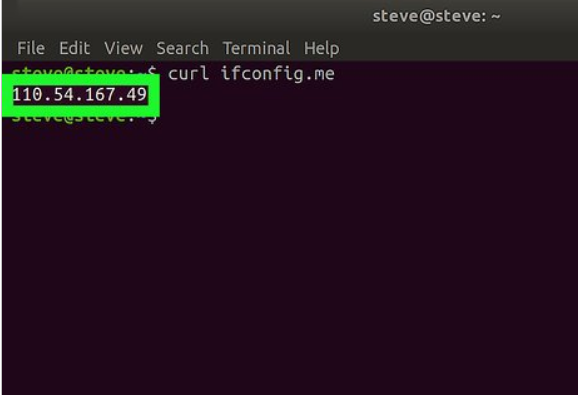 پیدا کردن آدرس آی پی عمومی در لینوکس 3
