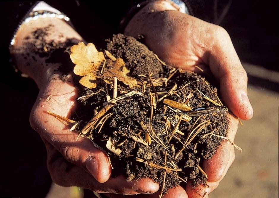 چگونه خاک گلدان خانگی خود را بسازیم؟ 4