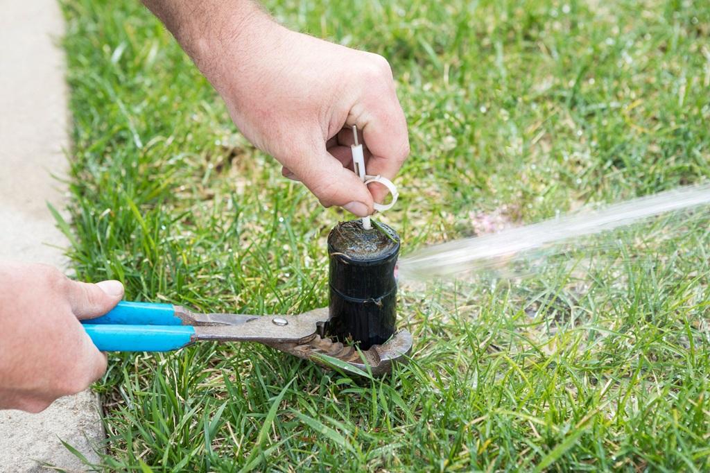 روش های صرفه‌جویی در آب باغچه 4