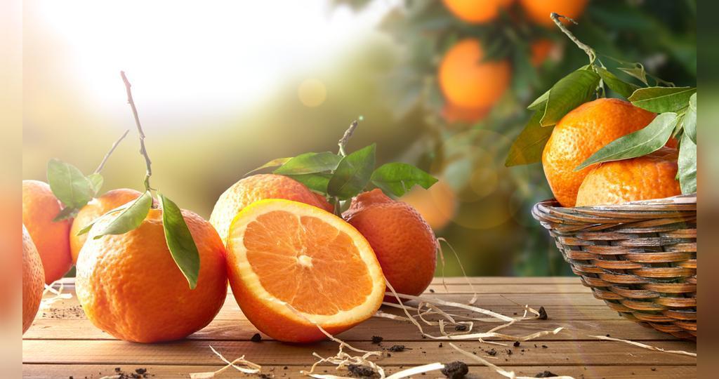 خواص و فواید نارنگی برای همه