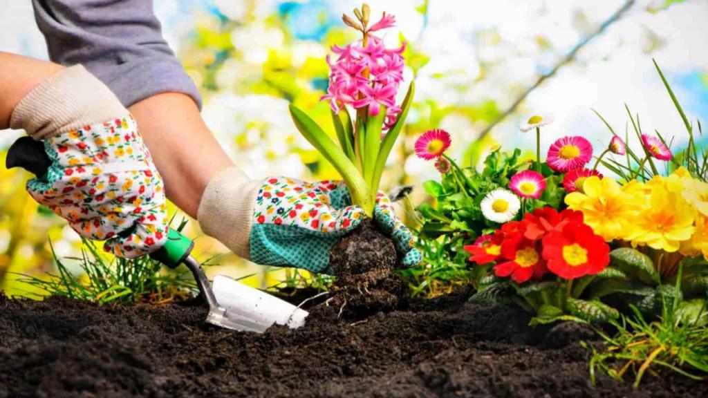 10 مورد از فواید شگفت انگیز باغبانی برای سلامت جسم و روح