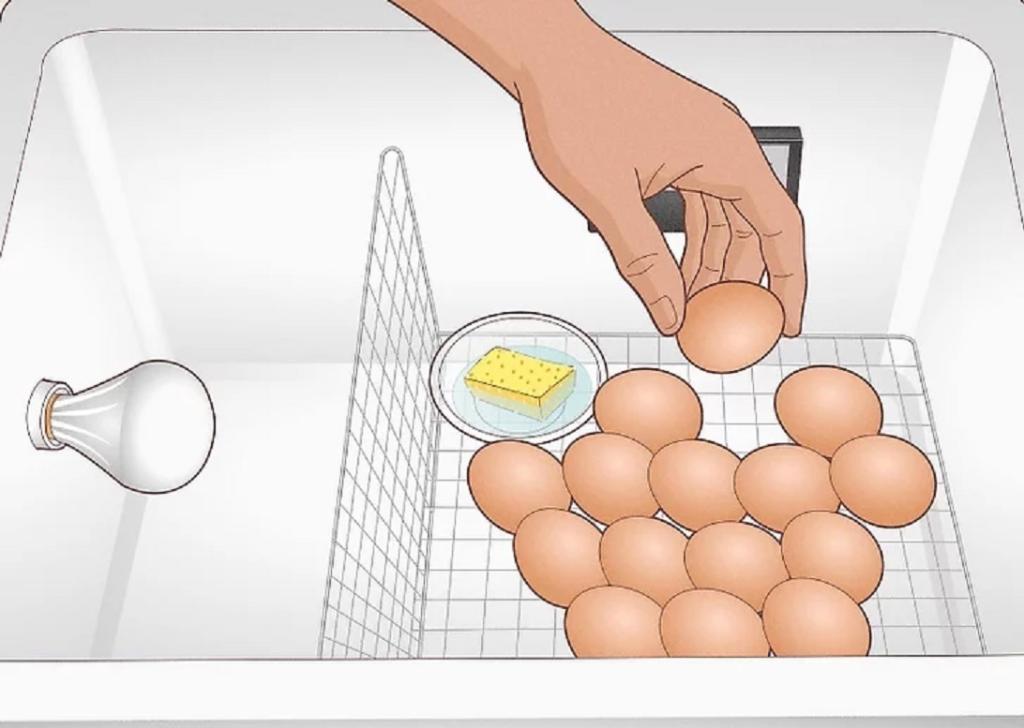  تخم مرغ را داخل آن بریزید.