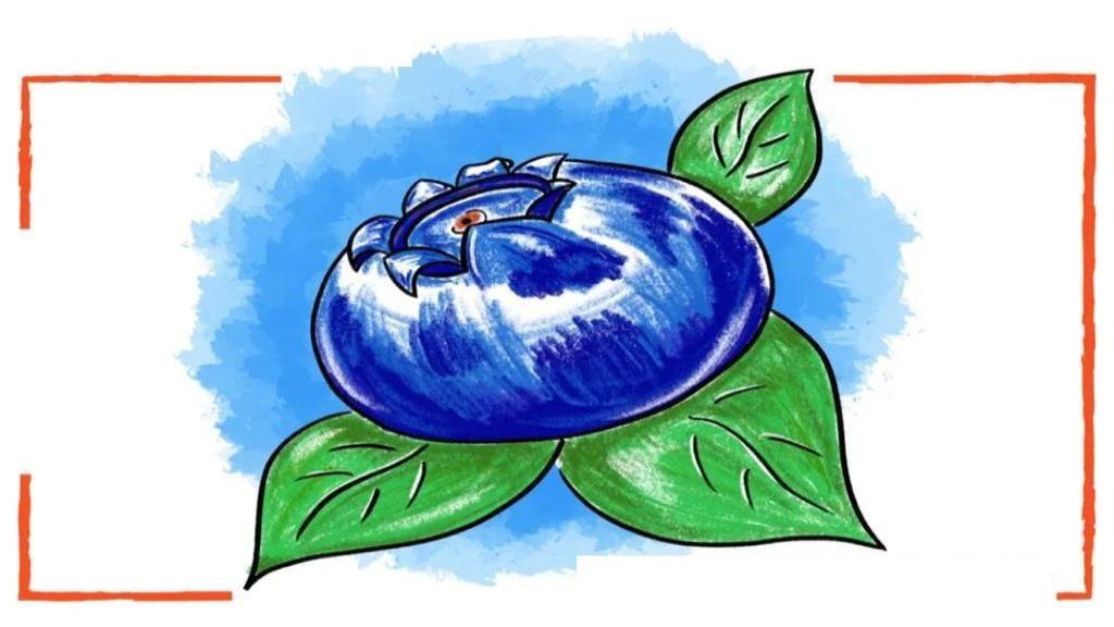 چطور یک بلوبری بکشیم؛ آموزش کشیدن نقاشی بلوبری ساده و گام به گام