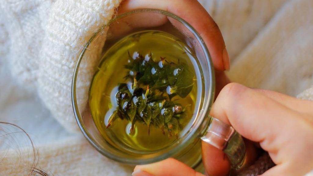 آیا چای سبز برای سم زدایی مناسب است؟