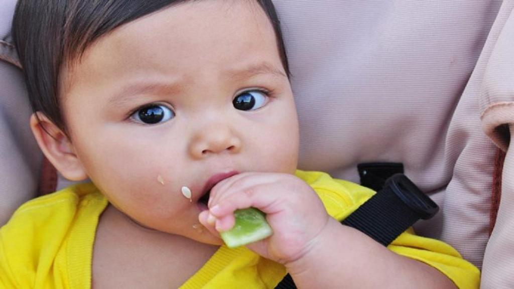 خواص خیار برای سلامتی نوزادان و دستورالعمل های غذایی با خیار برای کودک