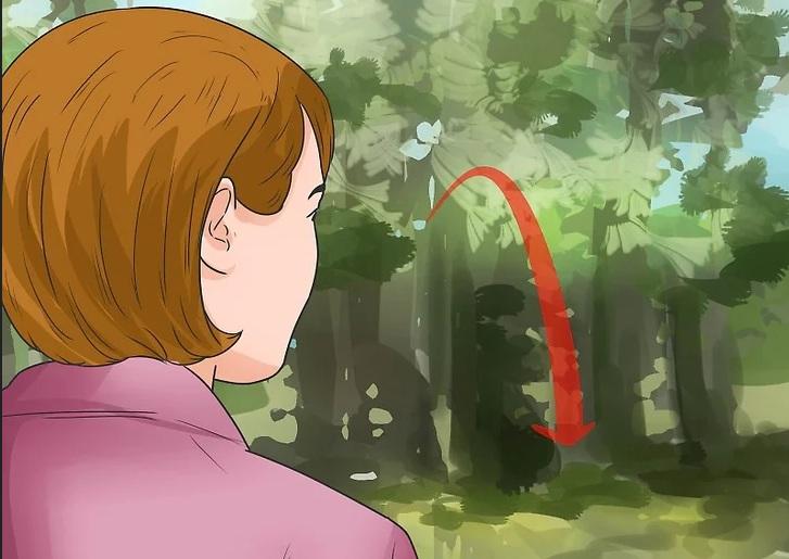 روش&zwnj;های به دام انداختن کایوت 5