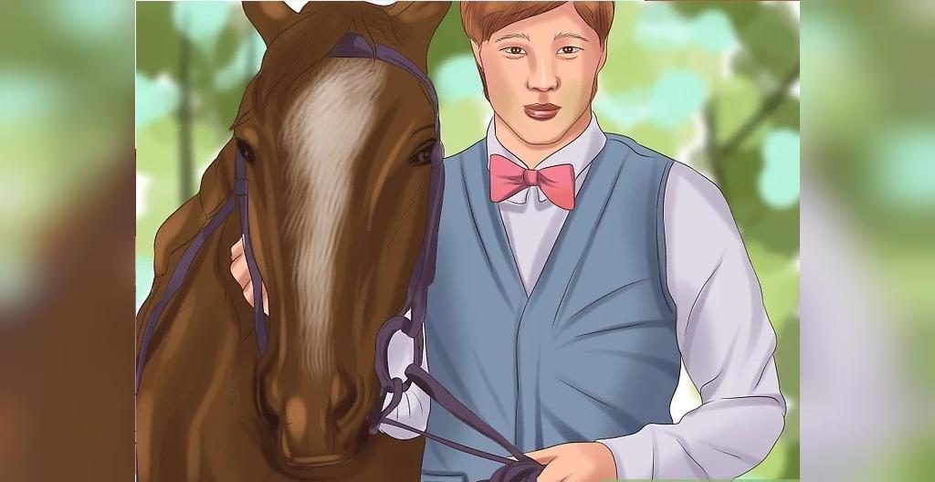 چگونه اسب را رام کنیم