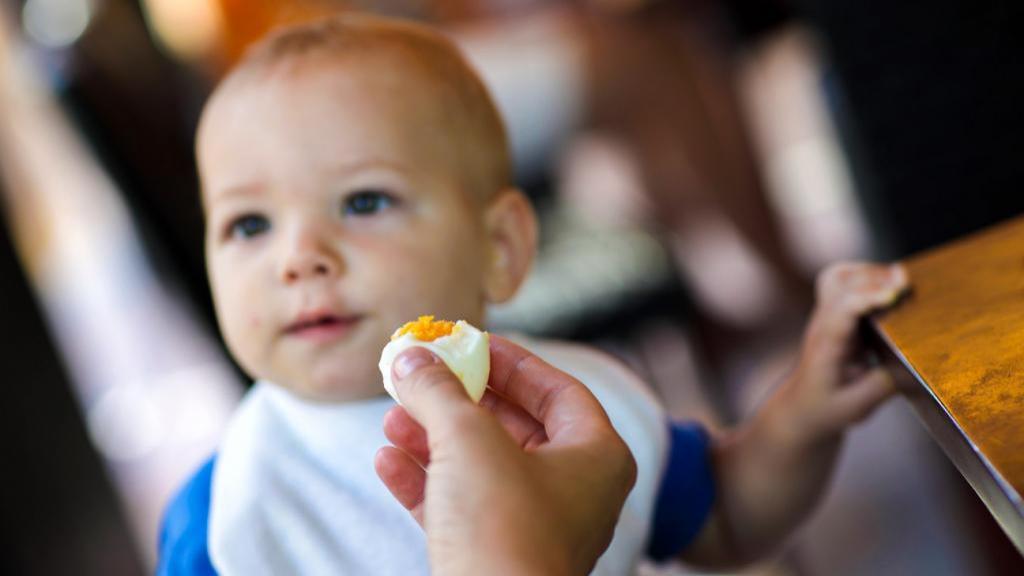 زمان شروع تخم مرغ خوردن فرزندتان و فواید شگفت انگیز تخم مرغ برای کودک