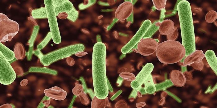 عوارض احتمالی زوال عقل