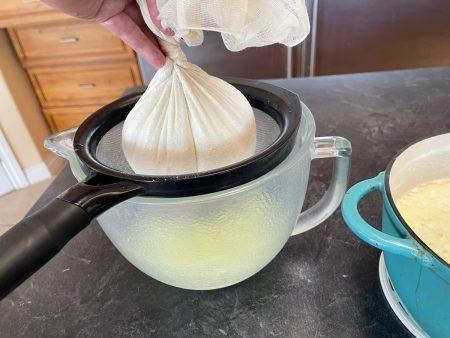 طرز تهیه پنیر پروبیوتیک خانگی سریع