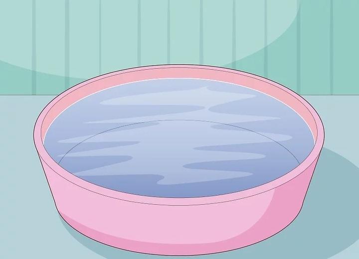 نحوه آبیاری گیاهان هوازی 1