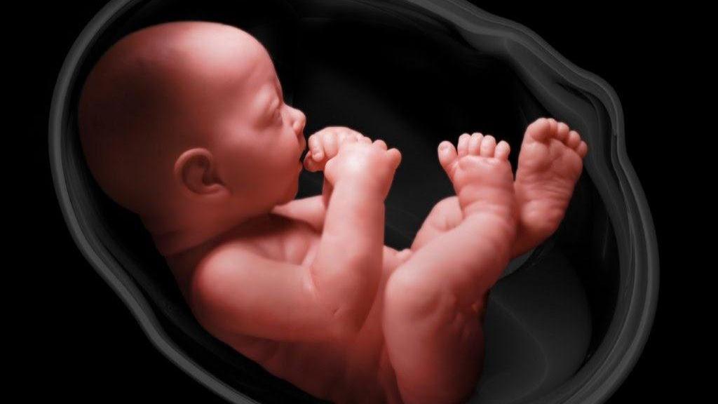 39 حقیقت جالب و باور نکردنی درباره جنین در رحم و نوزاد تازه متولد شده