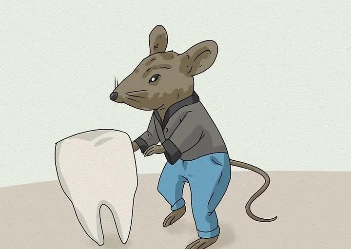 پری دندان و ریشه افسانه&zwnj;ها 9