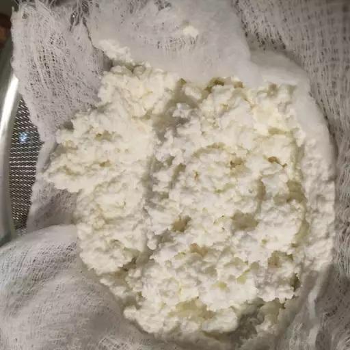 آموزش پنیر ساده خانگی