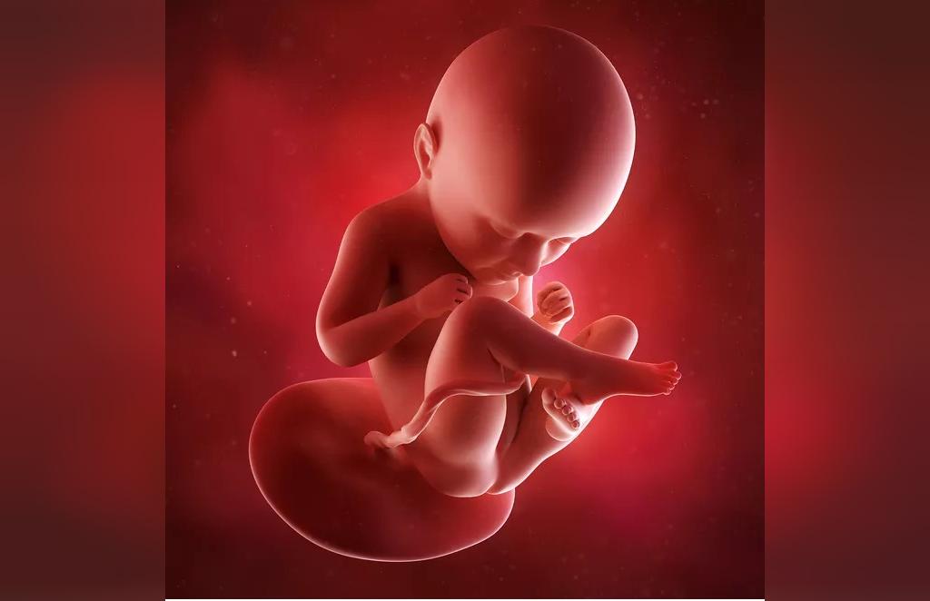 رشد کودک در هفته سی و پنجم بارداری
