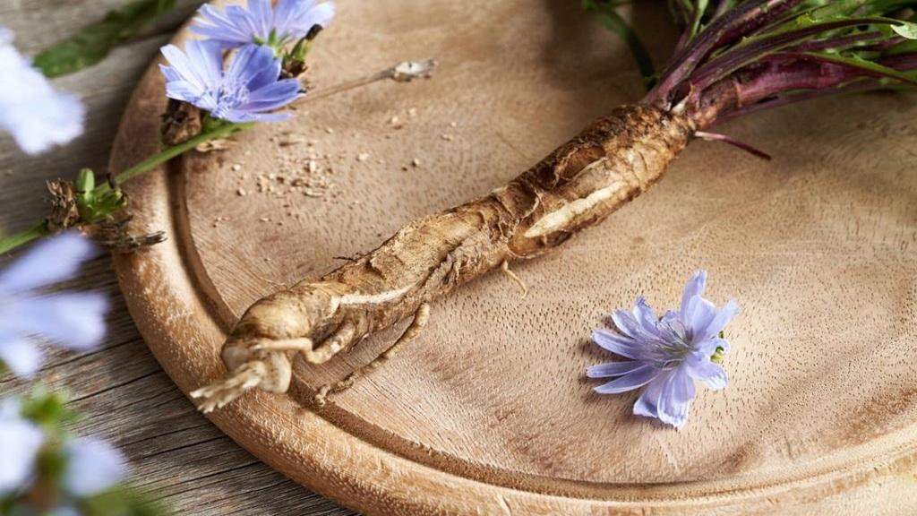 خواص و بهترین زمان خوردن عرق کاسنی و شاتره برای کبد چرب و سلامتی