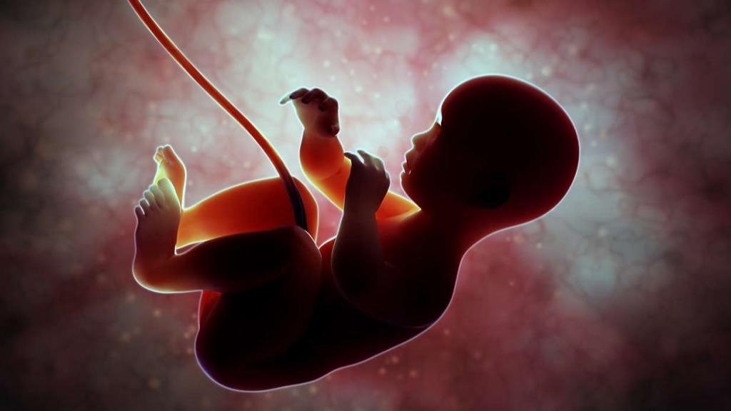 راههای جلوگیری از سقط جنین در ماههای اول با طب سنتی، قرص و غذا