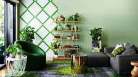 ایده تزیین خانه با گیاهان سبز، 47 مدل شیک دکوراسیون منزل با گل