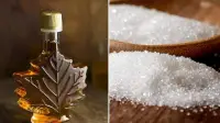 تفاوت شکر با شربت افرا، کدام سالم تر است + خواص شربت افرا