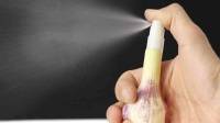 طرز تهیه اسپری سیر برای دفع آفات گیاهان با مواد طبیعی + نحوه استفاده