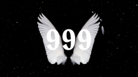 معنی عدد 999 عاشقانه؛ راز دیدن اعداد فرشتگان 999 به چه معناست