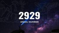 معنی عدد 2929 عاشقانه؛ راز دیدن اعداد فرشتگان 2929 به چه معناست