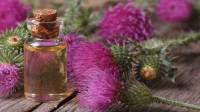 خواص روغن خار مریم برای زنان، دیابت و لاغری + مضرات و روش مصرف