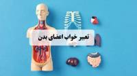 تعبیر خواب اعضای بدن؛ معنی دیدن بریدن و اهدای اعضای بدن مرده و دیگران