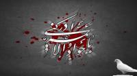 متن شهادت امام جواد (ع)؛ شعر تسلیت شهادت امام محمد تقی غمگین