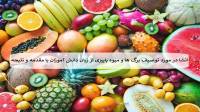 7 انشا در مورد توصیف برگ ها و میوه پاییزی از زبان دانش آموزان با مقدمه و نتیجه