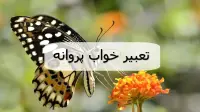 تعبیر خواب پروانه؛ دیدن پروانه سفید، رنگی و زیاد در خواب مجرد و متاهل