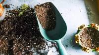خاک گلدان چیست؛ طرز ساخت بهترین ترکیب خاک گلدان و باغچه خانگی