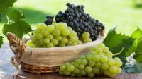 خواص انگور برای مردان و زنان در طب سنتی؛ طبع انگور و مضرات آن