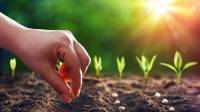 نحوه آماده سازی خاک برای باغ سبزیجات؛ آزمایش، اصلاح و شخم زدن خاک