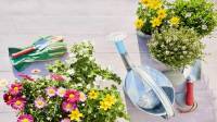 نکات اصولی و مهم باغبانی در فصل بهار برای مبتدیان و حرفه ای ها
