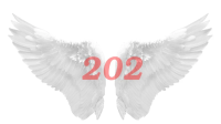 معنی عدد 0202 عاشقانه؛ راز دیدن اعداد فرشتگان 0202 به چه معناست