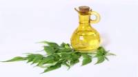 خواص روغن چریش برای پوست و مو، بواسیر، گیاهان + مضرات و طرز مصرف