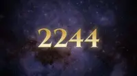 معنی عدد 2244 عاشقانه؛ راز دیدن اعداد فرشتگان 2244 به چه معناست