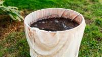 کمپوست چای چیست؛ طرز تهیه و استفاده از کود تفاله چای در باغچه