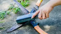 چگونه قیچی باغبانی کند را تیز کنیم؛ روش تیز کردن و نگهداری قیچی هرس