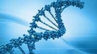 مهندسی ژنتیک چیست + 25 مورد از مزایا و معایب اصلاح ژنتیک