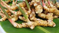 ریشه گالانگال چیست؛ خواص و مضرات گیاه خسرودار برای زنان و مردان