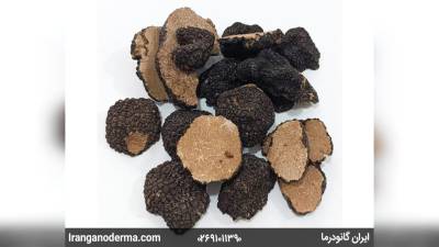 رازهای سلامتی و انرژی طبیعی با قارچ‌های دارویی