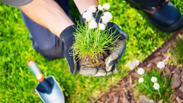 10 کار ضروری برای آماده&zwnj; سازی باغ و باغچه در بهار (راهنمای کامل فصل رشد)