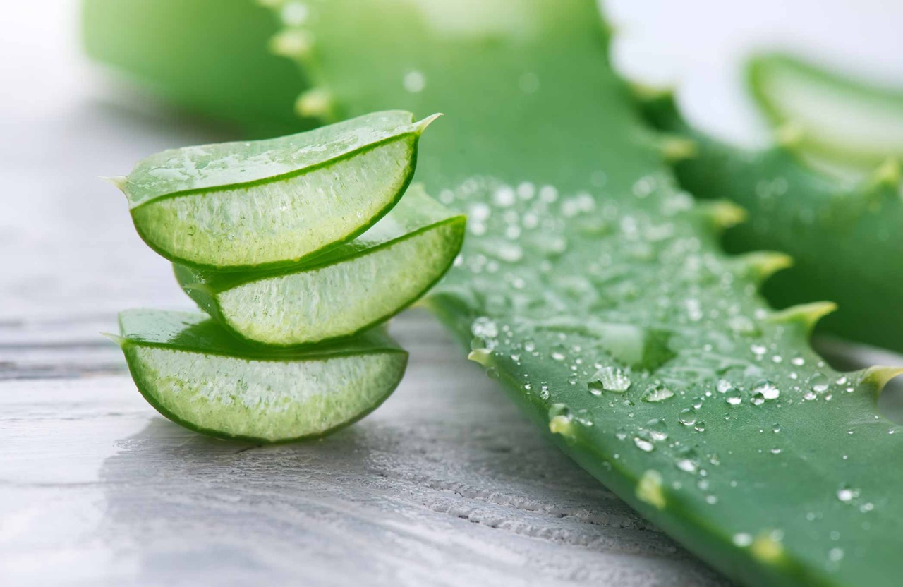 چگونه برگ‌های کامل آلوئه‌ورا را به‌درستی نگهداری کنیم؟
